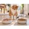Wet food vs dry food for cats
