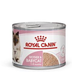 Royal Canin Mother & Babycat Mousse Wet Cat Food 195 Tin