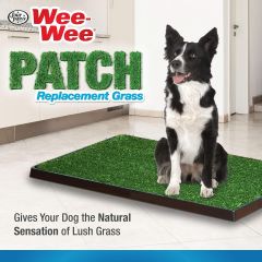 Four Paws Wee Wee Patch Replacement Grass