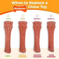 Nylabone Dura Chew Power Chew Bacon Blister Dog Treats