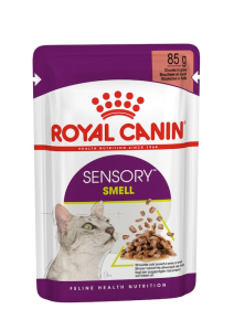 Royal Canin Sensory Smell in Gravy Wet Cat Food 85g Pouch