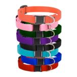 Lupine Basic Safety Buckle Cat Collar