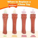 Nylabone Dura Chew Power Chew Bacon Blister Dog Treats